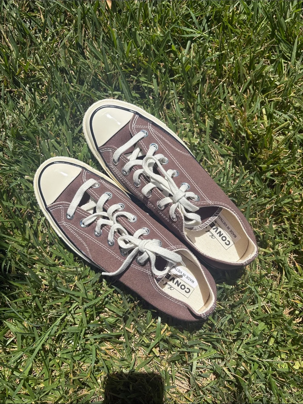 Converse Brown Canvas Low-Top Sneakers with Cream Accents - Picture 2 of 4